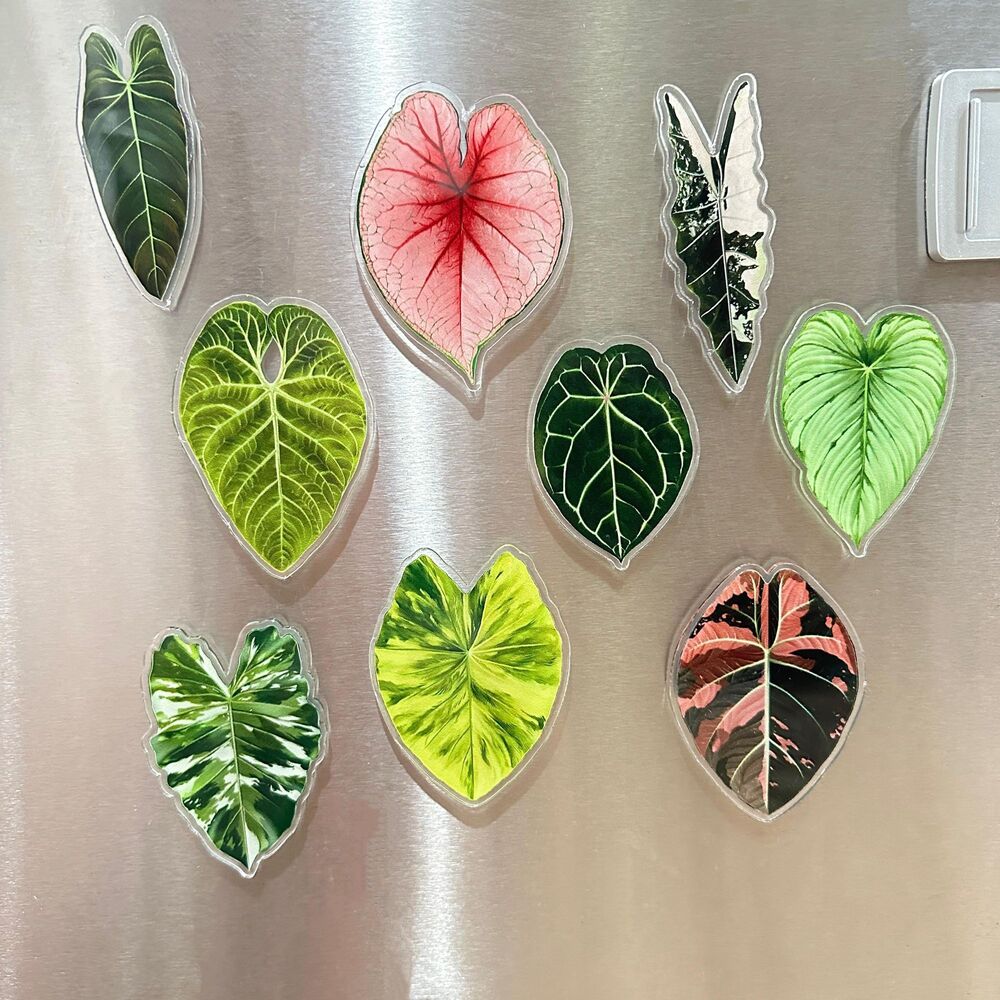 Set of 9 Handmade Anthurium Leaf Resin Fridge Magnets, Tropical Plant Decor